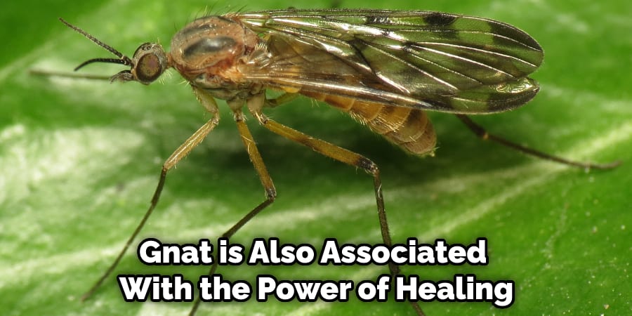 Gnat is Also Associated  With the Power of Healing