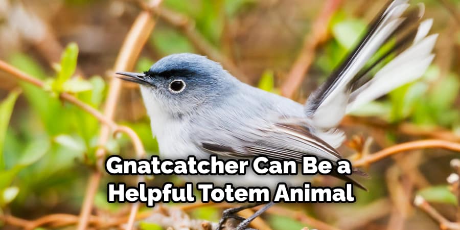 Gnatcatcher Can Be a  Helpful Totem Animal