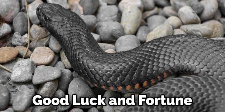 Good Luck and Fortune