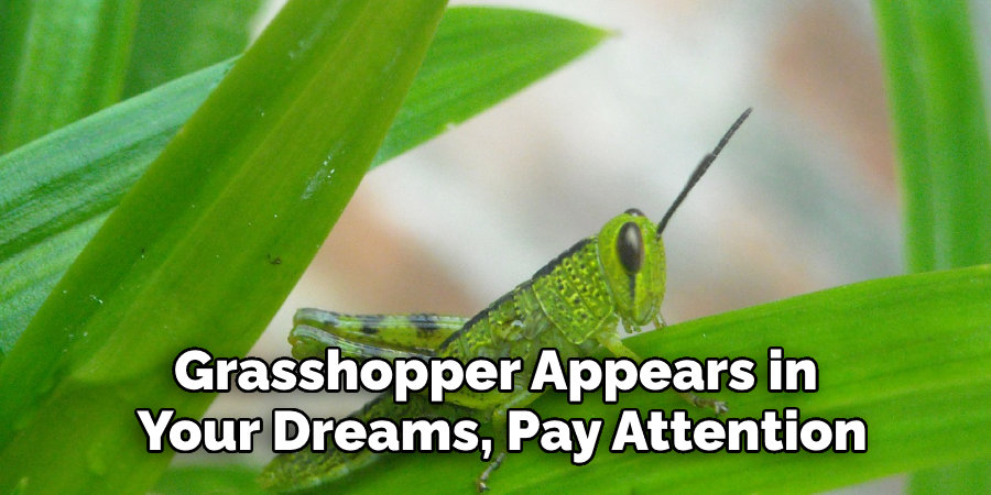 Grasshopper Appears in  Your Dreams, Pay Attention