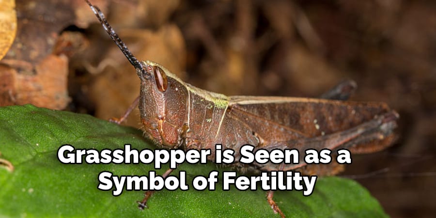 Grasshopper is Seen as a  Symbol of Fertility