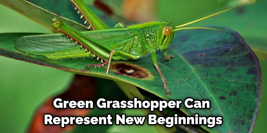 Green Grasshopper Can  Represent New Beginnings