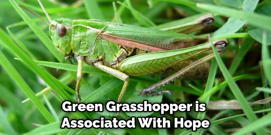 Green Grasshopper is  Associated With Hope