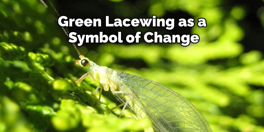 Green Lacewing as a Symbol of Change
