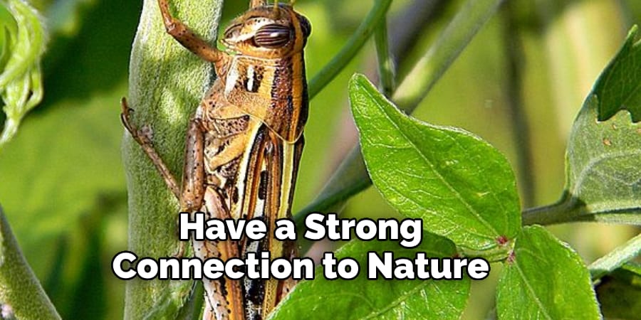 Have a Strong  Connection to Nature