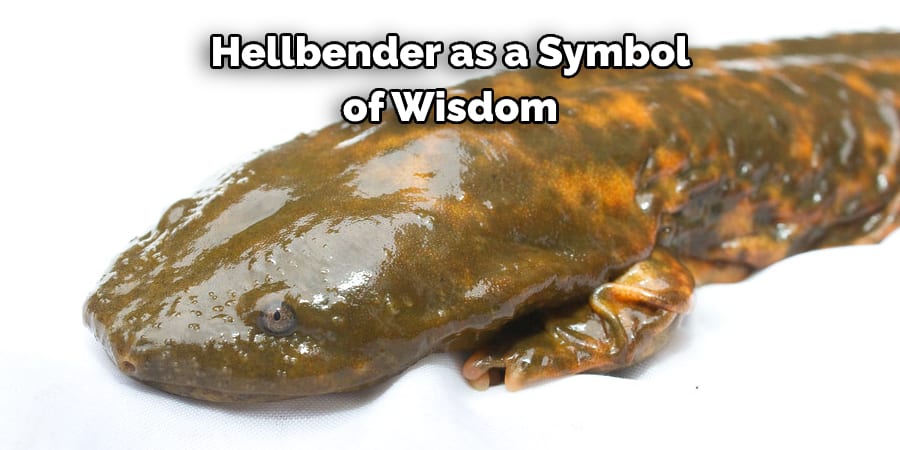 Hellbender as a Symbol of Wisdom