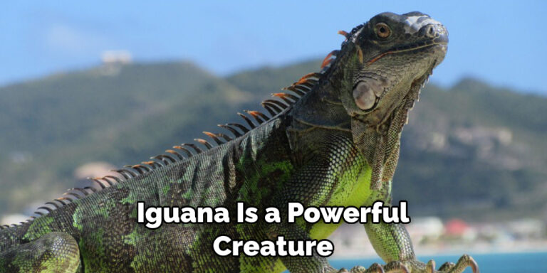 primal astrology iguana