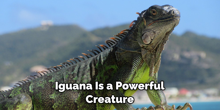 Iguana Is a Powerful Creature