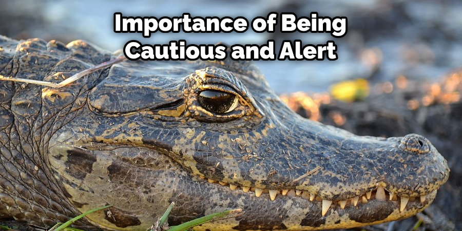 Importance of Being Cautious and Alert