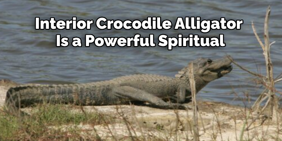 Interior Crocodile Alligator  Is a Powerful Spiritual