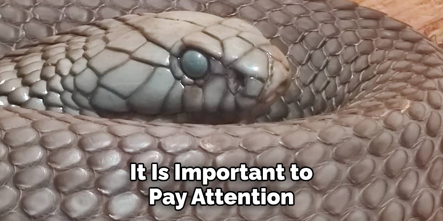 It Is Important to Pay Attention