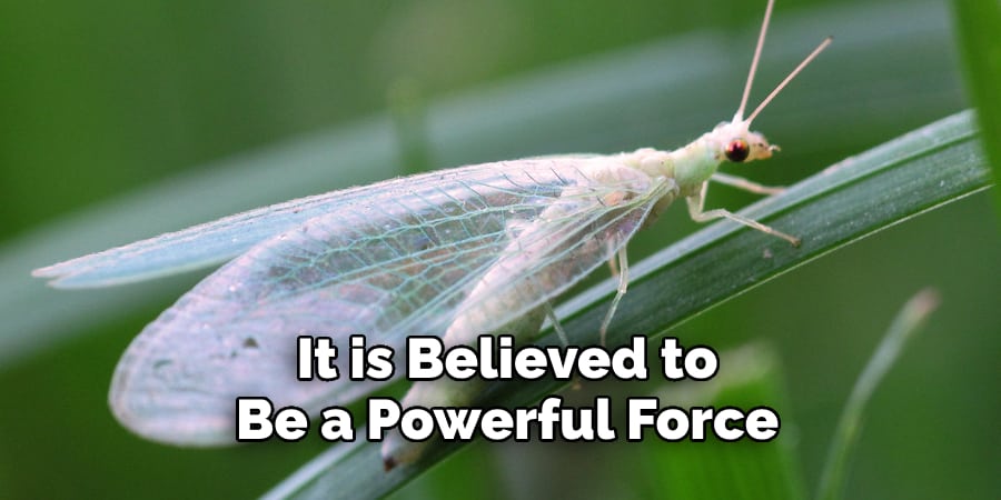 It is Believed to  Be a Powerful Force