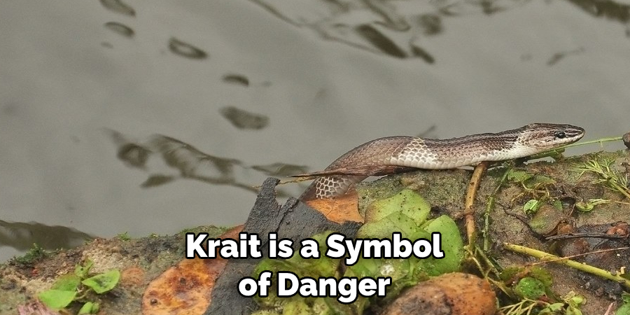 Krait is a Symbol of Danger