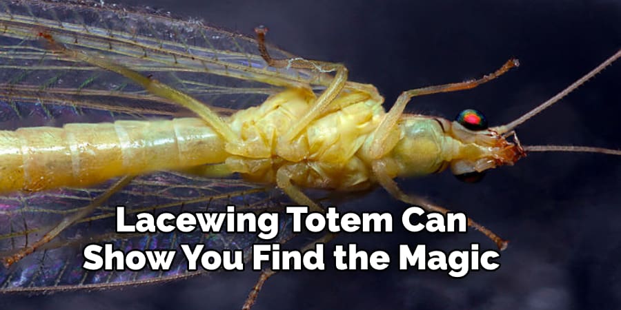 Lacewing Totem Can  Show You Find the Magic