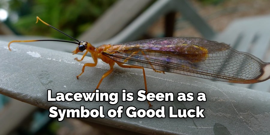 Lacewing is Seen as a  Symbol of Good Luck