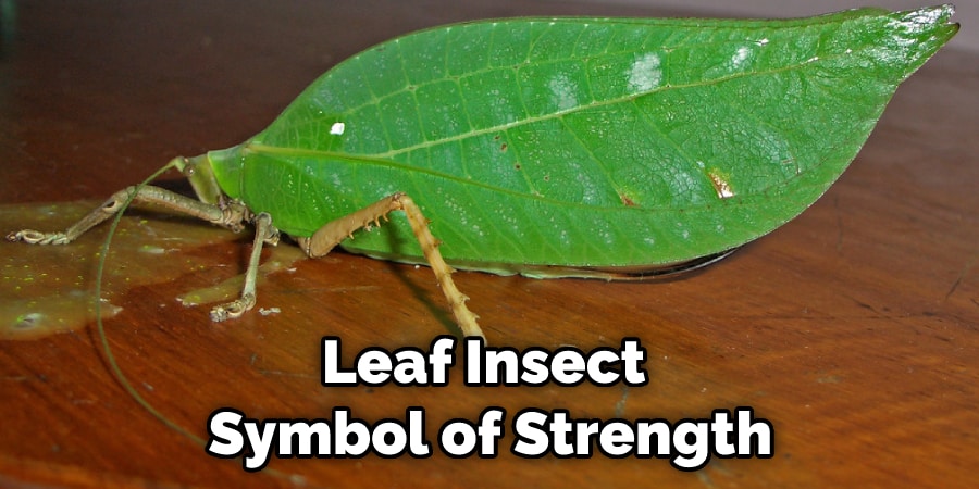 Leaf Insect  Symbol of Strength