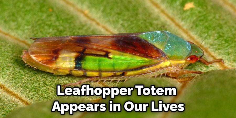 Leafhopper Totem  Appears in Our Lives