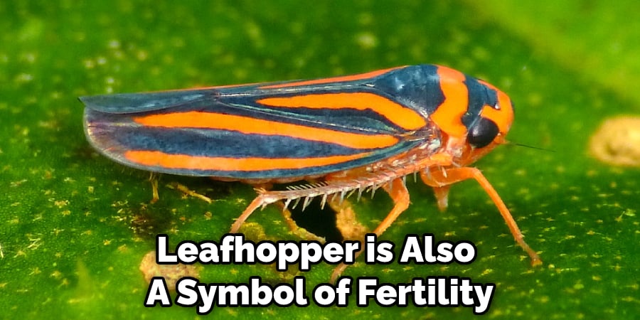 Leafhopper is Also  A Symbol of Fertility