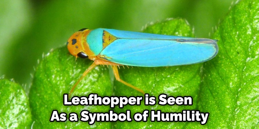 Leafhopper is Seen  As a Symbol of Humility