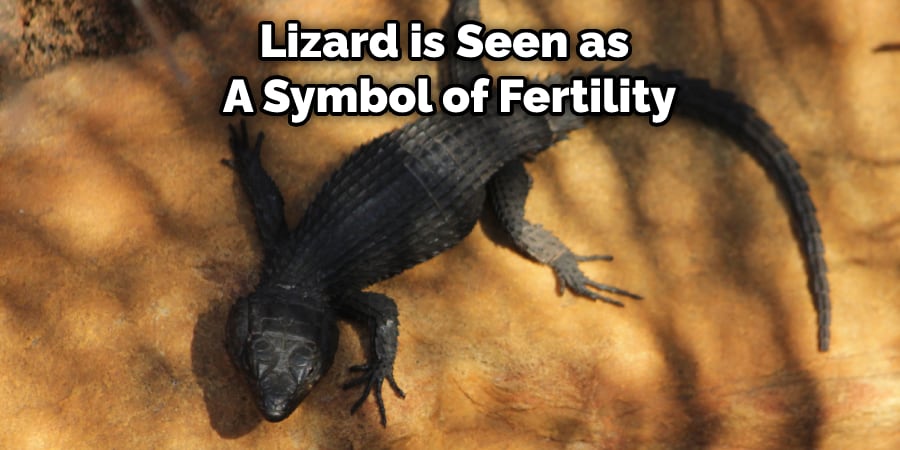 Lizard is Seen as  A Symbol of Fertility