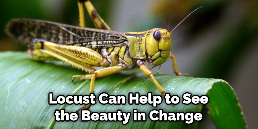Locust Can Help to See the Beauty in Change