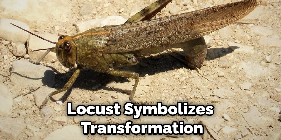 Locust Symbolizes  Transformation