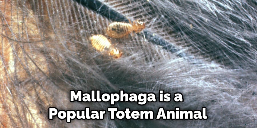 Mallophaga is a  Popular Totem Animal