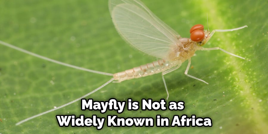 Mayfly is Not as  Widely Known in Africa