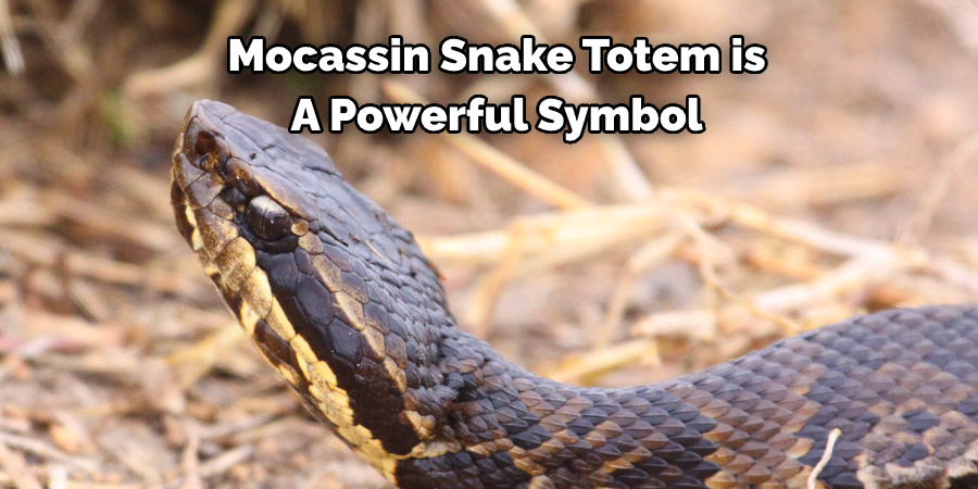 Mocassin Snake Totem is  A Powerful Symbol