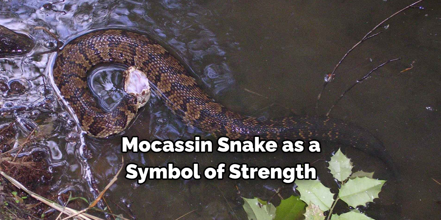 Mocassin Snake as a  Symbol of Strength