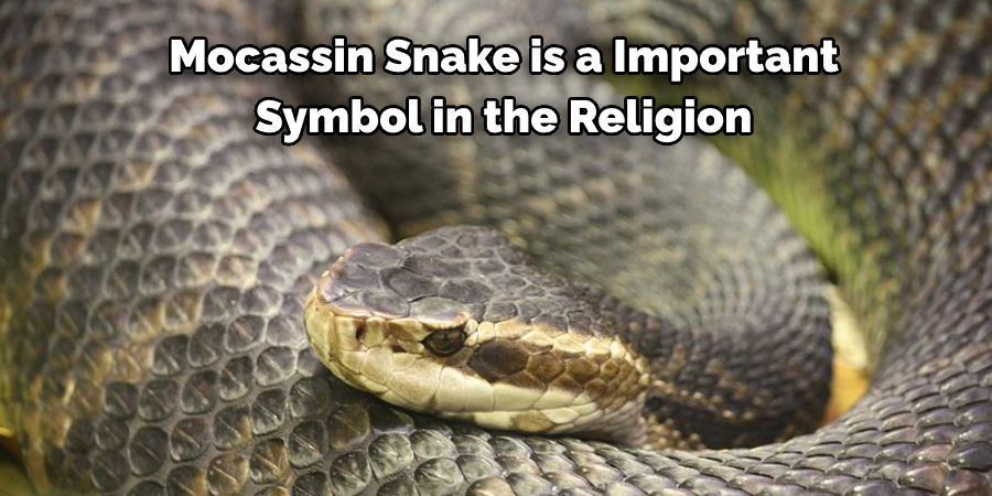 Mocassin Snake is a Important  Symbol in the Religion