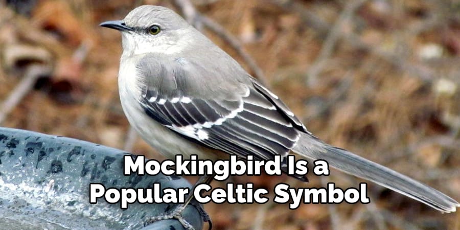 Mockingbird Is a  Popular Celtic Symbol