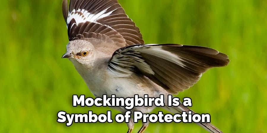  Mockingbird Is a  Symbol of Protection