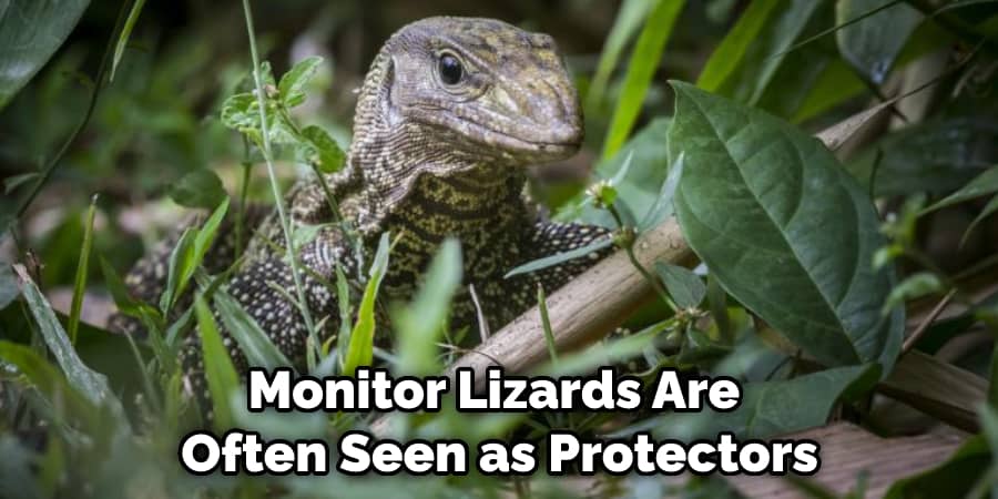 Monitor Lizards Are  Often Seen as Protectors