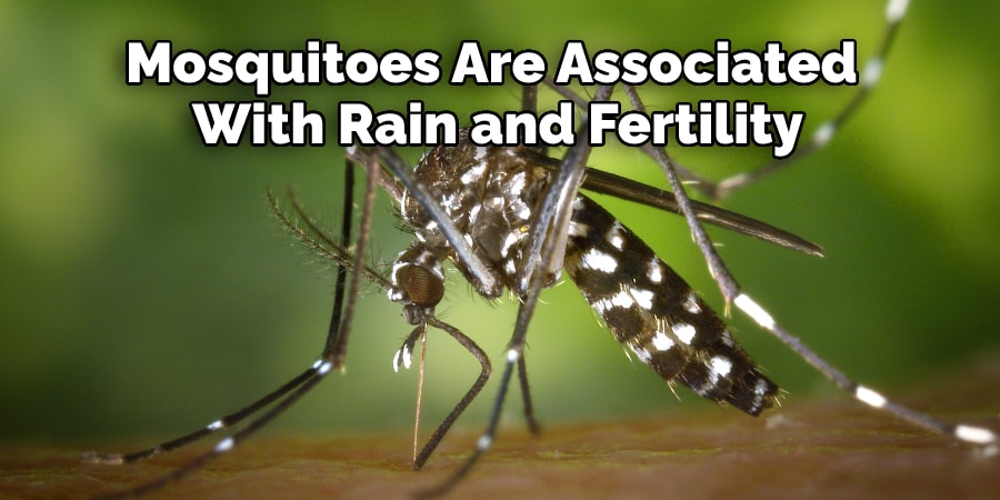 Mosquitoes Are Associated With Rain and Fertility