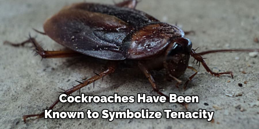 Cockroaches Have Been  Known to Symbolize Tenacity 