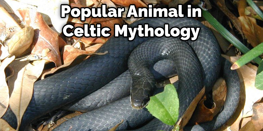 Popular Animal in Celtic Mythology