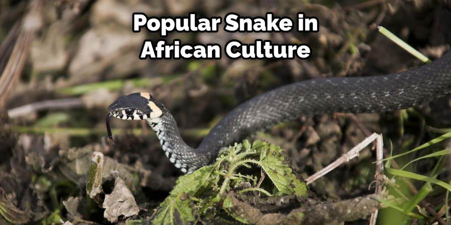 Popular Snake in African Culture