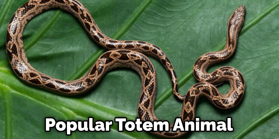 Popular Totem Animal
