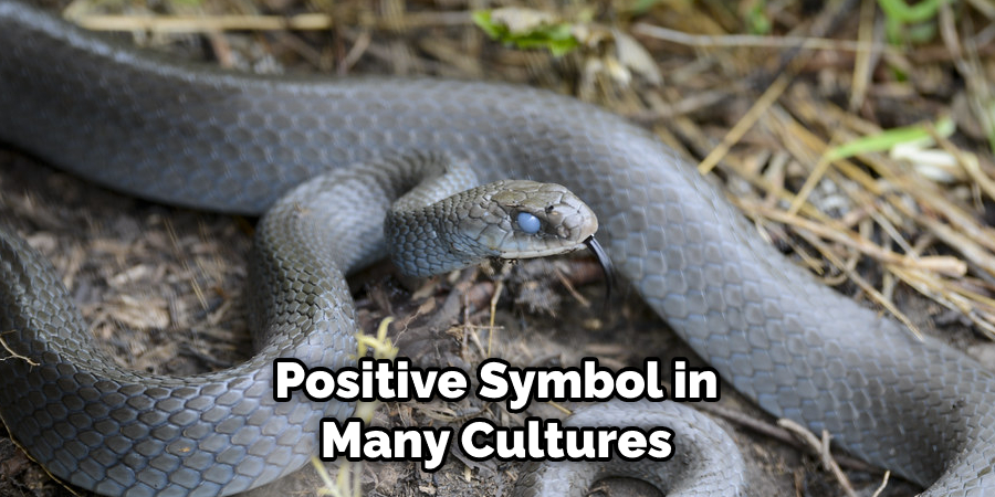 Positive Symbol in Many Cultures
