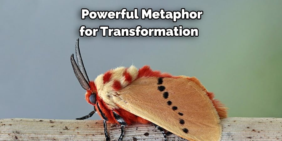  Powerful Metaphor for Transformation 