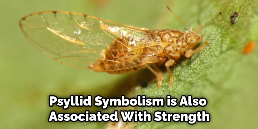 Psyllid Symbolism is Also  Associated With Strength