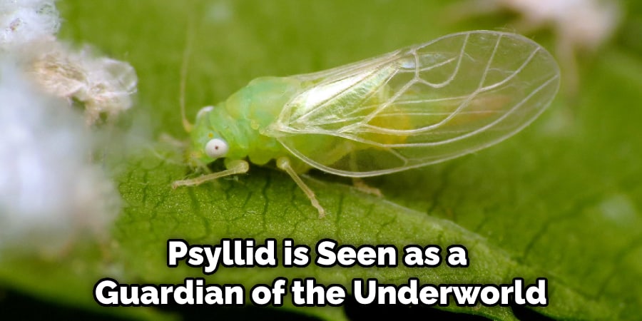 Psyllid is Seen as a  Guardian of the Underworld