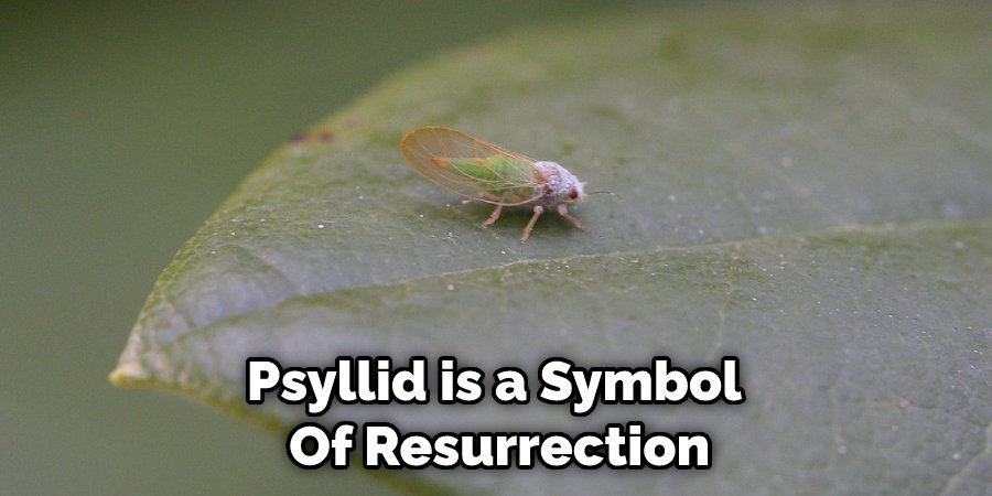 Psyllid is a Symbol  Of Resurrection