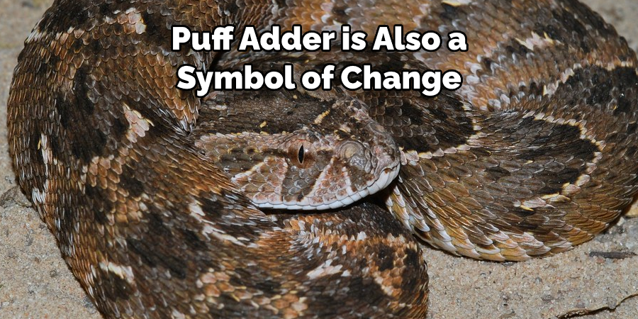 Puff Adder is Also a Symbol of Change