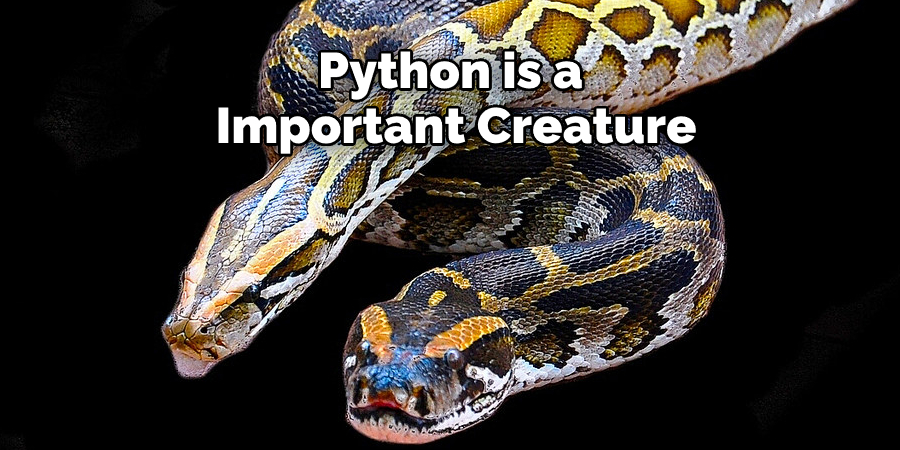 Python is a Important Creature