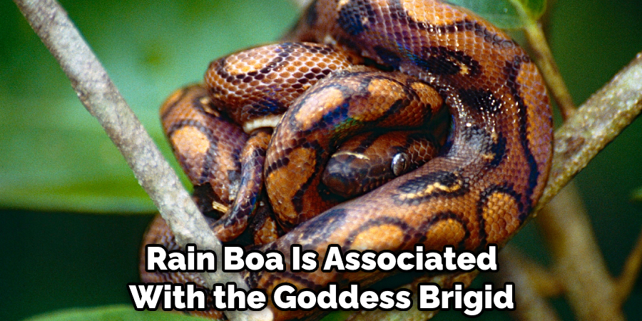Rain Boa Is Associated With the Goddess Brigid