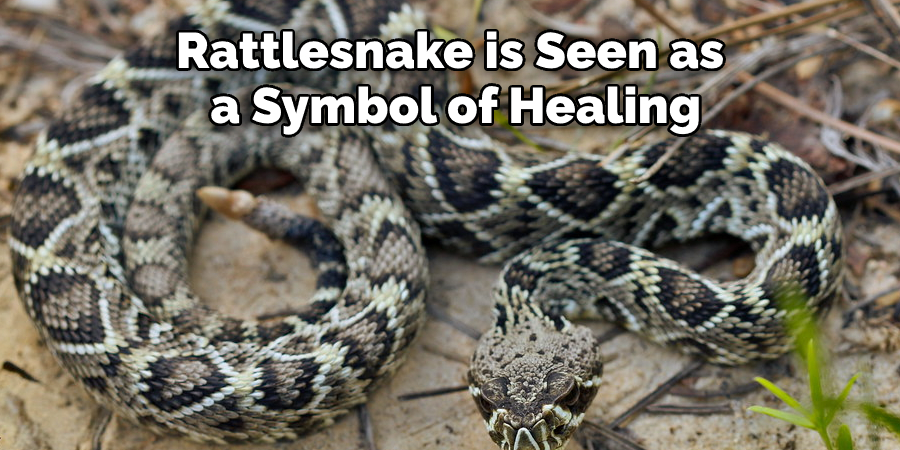 Rattlesnake is Seen as  a Symbol of Healing