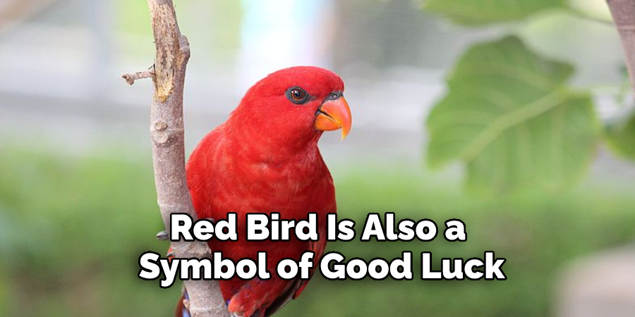 Red Bird Is Also a Symbol of Good Luck
