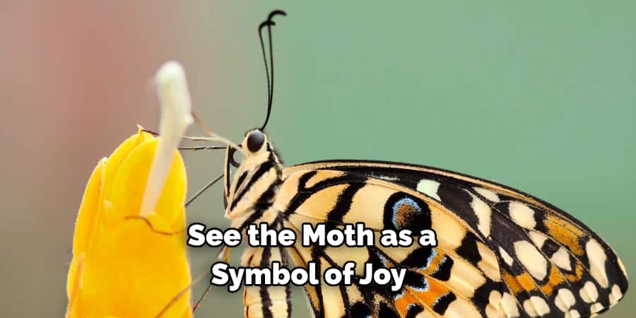 See the Moth as a Symbol of Joy